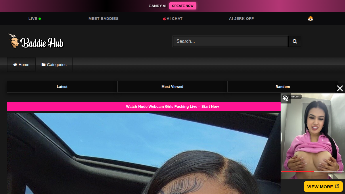 BaddieHub · Previzualizare