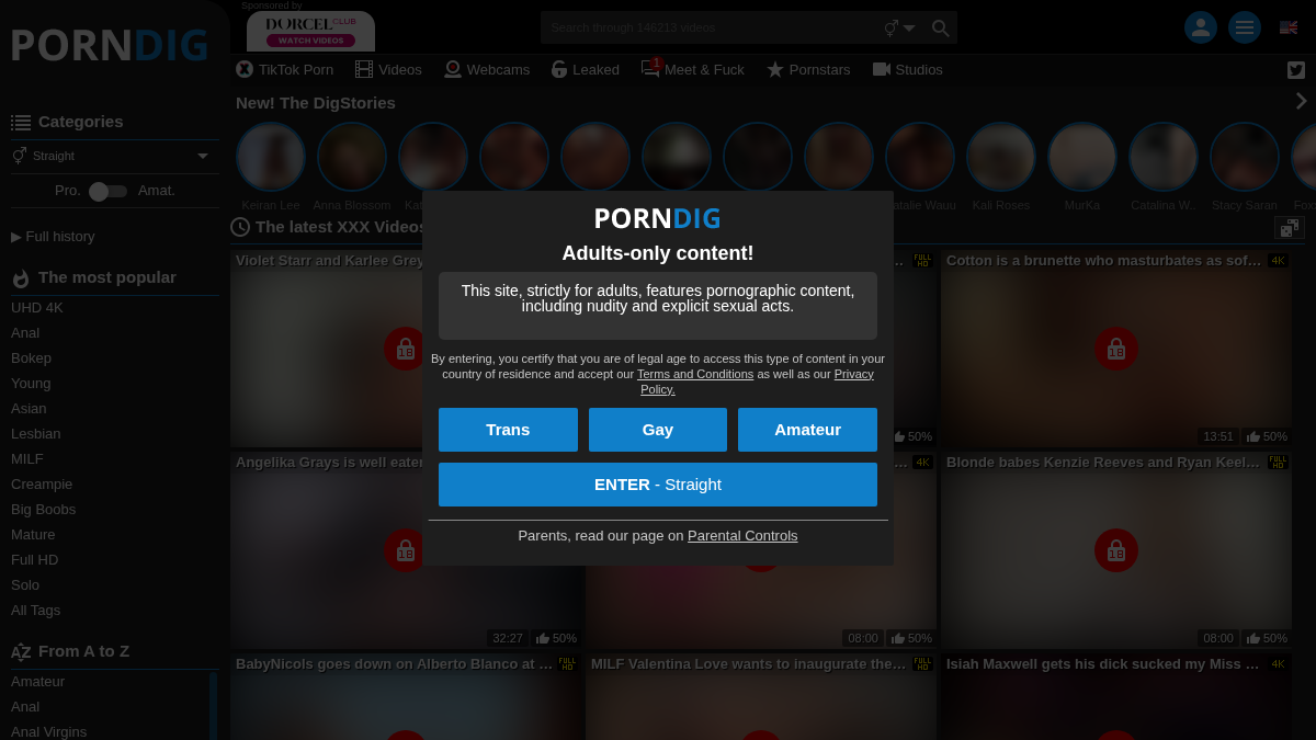 PornDig · Previzualizare